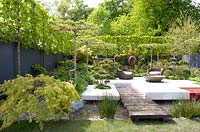 Entrance to moder garden and terrace across a decking walkway.  Platanus x acerfolis - table top trees and on the left Tillia pallida.