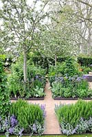 Geometrically shaped family garden with concrete paths, raised borders of herbs, vegetables, flowering perennials and fruit trees 