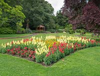 Antirrhinum and Geranium Bed in Memorial Garden of South West Middlesex Crematorium