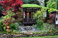 An Alcove - Tokonoma - Garden, Tea room with living roof, colourful Acers and water feature