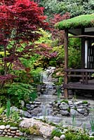 An Alcove - Tokonoma Garden, Acers along three tier water fall besides japanese Tea room