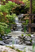 An Alcove - Tokonoma Garden - water fall feature and damp planting surrounded by acers 