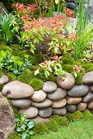 Moss planting and pebble wall - An Alcove Garden