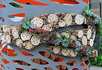 Insect hotel with drilled logs and bamboo interplanted with sempervivums
