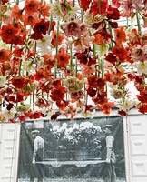 Centenary, Warmenhoven display in the Grand Pavillion. Winner of the Diamond Jubilee award. RHS Chelsea Flower Show 2013