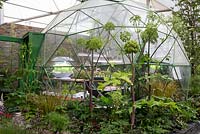 Solardome greenhouse with lit plant propagators. Horticolous Landscape and Garden Design in association with Suttons Seeds Hydrogarden and Solardome