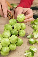 Adding Brussels to wreath.