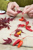 Adding more Acer leaves to the string