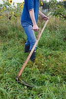 Lady using a turk handled scythe to cut grass and weeds on allotment