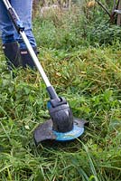 Using a GTech battery operated strimmer to cut orchard weeds