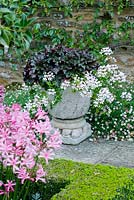 Mixed planting in stone containers - summer