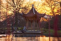 Evening view of Seven Acres across the lake to the Chinese pagoda. RHS garden Wisley. January, winter 