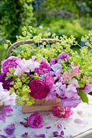 Summer country flowers in trug - roses, sweet peas, alchemilla mollis, geraniums