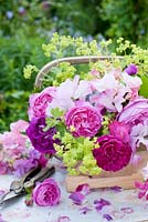 Summer country flowers in trug - roses, sweet peas, alchemilla mollis, geraniums