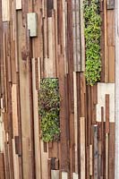 Vertical planting on fence made from recycled wood in 'The Austerity Garden' 
