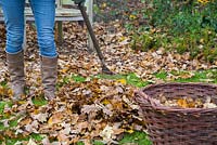 Woman raking fallen autumn leaves