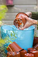 Cleaning plastic pots in trug of bubbly water