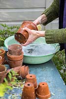 Cleaning terracotta pots in metallic bowl of bubbly water