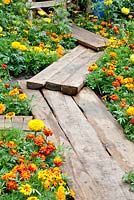 Path of planks between Tagetes, Herbert Smith Garden for Water Aid. Chelsea Flower Show 2013