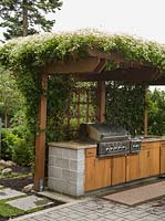 Clematis terniflora growing over pergola sheltering outdoor kitchen
