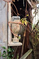 Homemade rustic bird feeder with Blue Tit - Cyanistes caeruleus, Parus caeruleus perched on edge of feeder