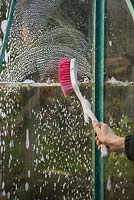 Woman using soapy water and a brush to clean greenhouse windows