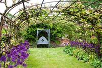 Vine covered metal tunnel with alliums in spring with seat in walled garden