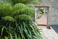 A glimpse of exuberant planting inside the walled garden is seen through the doorway that leads in from the contemporary courtyard framed by cool green of tree ferns and phormiums. 
