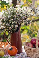 Wicker basket of apples - Malus 'Jonathan', pears - Pyrus 'Brunnenbirne', pumpkin 'Hokkaido', peas 'Kelvedon Wonder', box of onions and jug of asters.