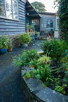 Raised bed of ferns and unusual foliage plants with shop and cafe beyond. Whimble Garden and Nursery, Kinnerton, Powys, Wales