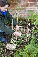 Weaving and securing string to canes. 