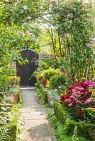 View of formal town garden with Buxus - Box edging, Roses growing on arches over paths. Dianthus - Sweet Williams and Digitalis - Foxgloves