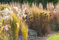 Autumnal border with Panicum virgatum 'Northwind', Achillea filipendula 'Parkers Variety' and Calamagrostis acutiflora 'Karl Foerster'