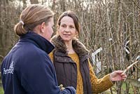 Woman shopping in garden centre for fruit trees, getting assistance from an employee. Pyrus communis 'Doyenne du Comice'