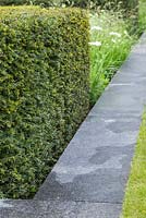 Taxus baccata hedge planted beside a granite pathway. Show Garden: The Telegraph Garden. 