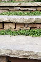 Dry Stone stairs planted with Isotoma Laurentia. Show Garden: Trailfinders Australian Garden. 