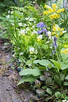 Hyacinthoides non-scripta Bluebell, Primula veris and Viola planted in border retained by a thick wooden log. Artisan Garden - What Will We Leave - The NSPCC Garden of Magical Childhood. 