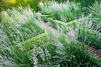The Cornfield Garden with Calamagrostis x acutifora 'Overdam' surrounded by Box hedges  and contained by Yew hedges. Hand made brick paths. Veddw House Garden, Devauden, Monmouthshire, Wales. July