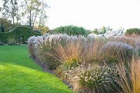 Autumn border with Pennisetum alopecuroides Hameln, Molinia arundinacea Skyracer, Molinia caerulea Heidebraut, Miscanthus sinensis Kleine Silberspinne