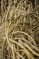 Twisted willow fence - The Badger Beer Garden, RHS Hampton Court Palace Flower Show 2012