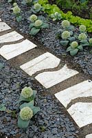 Paved path edged with Allium karataviense 'Ivory Queen' and slates
