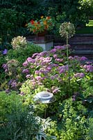 Solar powered garden light, with Spirea 'Candlelight' and Allium seed heads