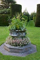 Stone font planted as container with erigeron daisies cordyline anthemis - Cothay Manor, Greenham, Somerset, England summer late June garden  
