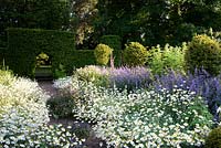 Flowering borders in formal country garden - Cothay Manor, Greenham, Somerset, England,  late June 