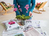 Materials needed to care for Phalaenopsis - Moth Orchid
