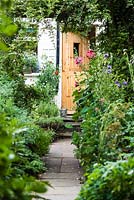 Path leading through garden to back door lined with Lavatera, Sweetpea and Jasmine