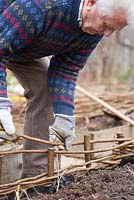 Making a hazel fence of a raised vegetable bed. 