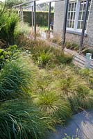 Beds of ornamental grasses. Sporobolus heterolepis, Molinia caerulea 'Dauerstrahl'. 