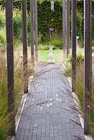 Borders of Molinia caerulea 'Dauerstrahl'.