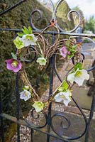 Hellebore wreath hanging on metal gate